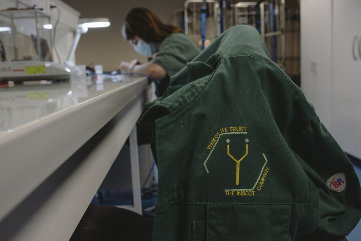 The Rise and Fall of Ÿnsect: Lessons from a Failed Insect Farming Venture